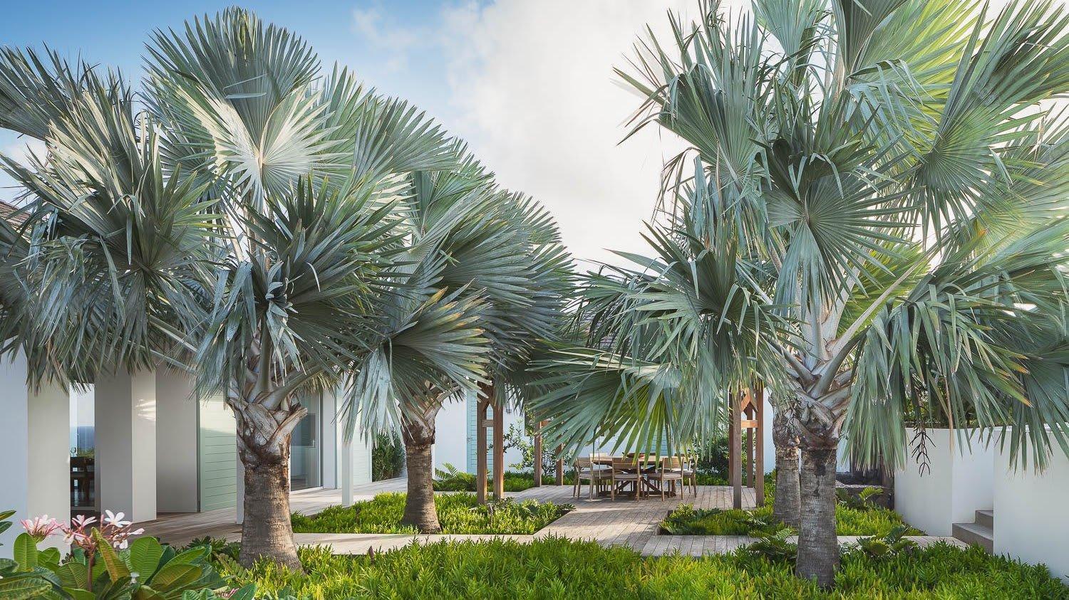 Ideally Located Prestigious Villa Toiny Buitenkant foto